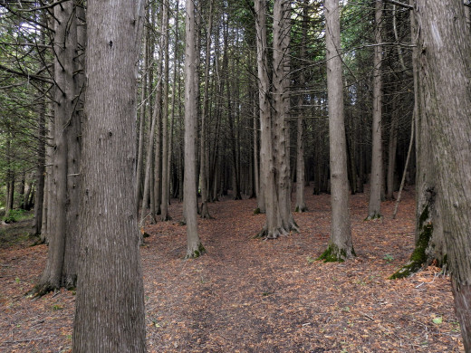 1252902 (a): :2560x1920